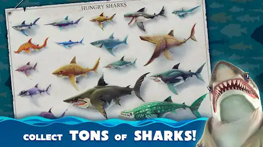 کوسه گرسنه Hungry Shark World - اسکرین‌شات 2